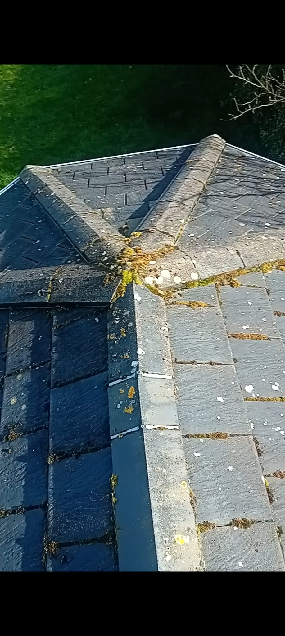 Mossy roof before cleaning Wicklow