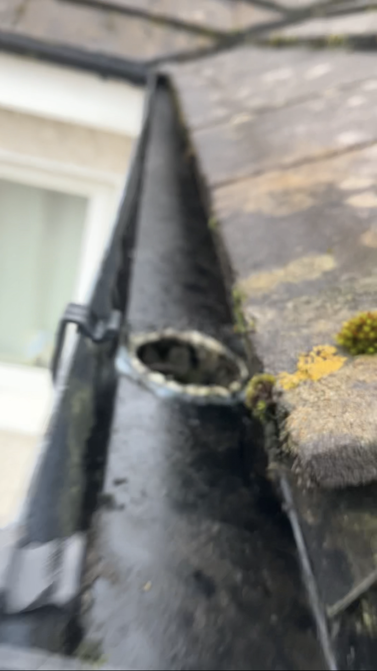 Gutter cleaning — BrightView